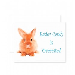 Easter Bunny Candy Easter Bunny Candy