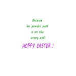 Easter Bunny Tail