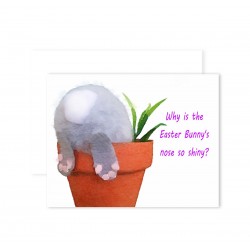 Easter Bunny Tail Easter Bunny Tail