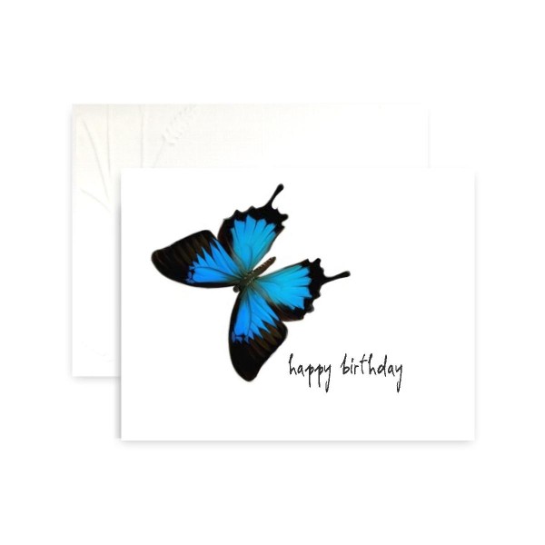 Butterfly Blue Bleu Birthday