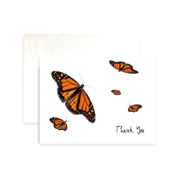 Butterfly Monarch Thank You