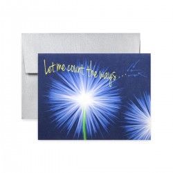 Flower Dandy Flower Dandy