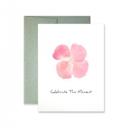 Celebrate the Moment Celebrate the Moment