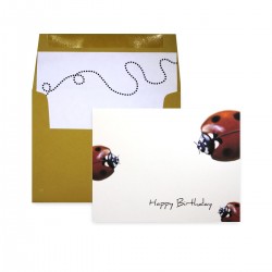 Ladybugs Birthday
